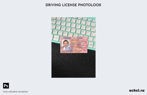 цифровая загрузка Узбекистана DL шаблон Photolook FRONT